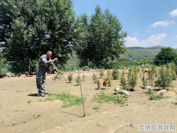 抖音火爆攻略｜庄园小鸡道具兑换全解析｜2025年04月冠军攻略｜终极隐藏技巧与赛季冲刺秘籍，助力手残党逆袭登顶！