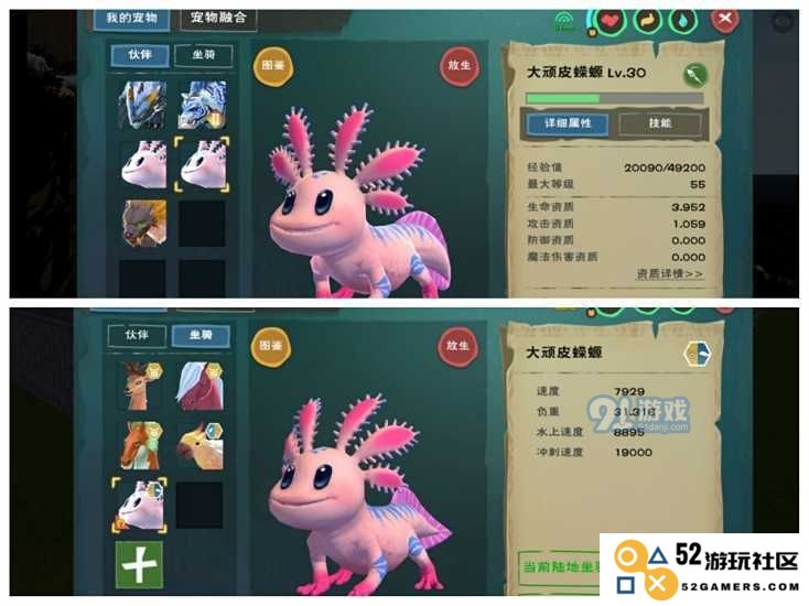创造与魔法：大顽皮蝾螈的最强资质揭秘
