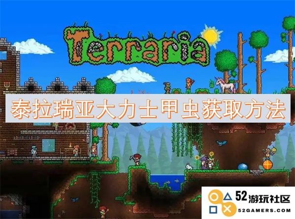 如何在泰拉瑞亚中获取大力士甲虫的详细攻略和窍门