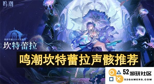 鸣潮坎特蕾拉声骸角色深度解析与推荐