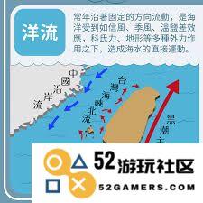 海水是否会在垂直方向上进行流动和循环，这种现象对海洋生态系统有什么影响