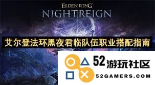 如何为艾尔登法环黑夜君临选择合适的队伍职业搭配与策略分析