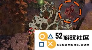 在命运方舟中如何有效收集干制的茎材料和相关技巧分享