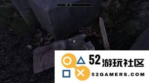 上古卷轴4重制版如何解锁盗贼公会成就的详细攻略与技巧