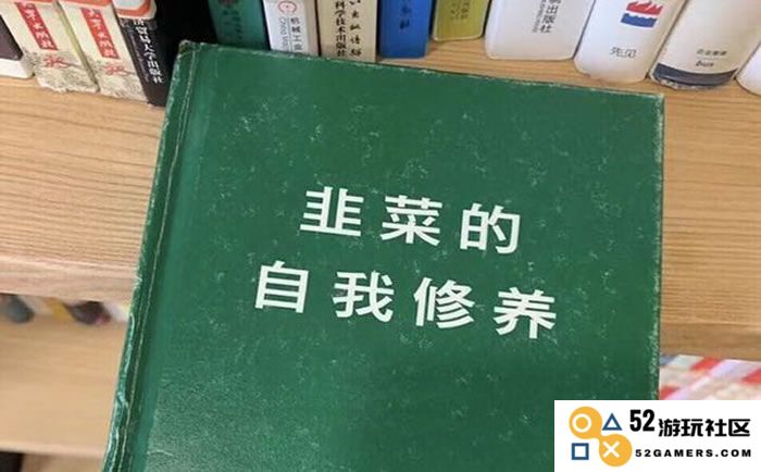 新手如何更好地适应进入币圈的世界，合理投资和规避风险的方法及心得分享