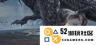 如何在《艾尔登法环》中成功击败黑夜君临夜王BOSS的实用攻略与有效策略