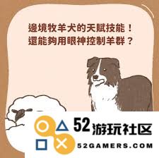 探讨最后的起源英格兰牧羊犬的独特技能与特点