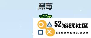 星露谷物语经典美食黑莓脆皮饼的详细制作流程与技巧