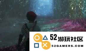 光与影33号远征队在飞流域绘制笼锁的具体位置探索与解析