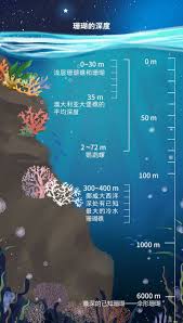 近岸海洋生态系统中包含哪些重要的组成部分与功能
