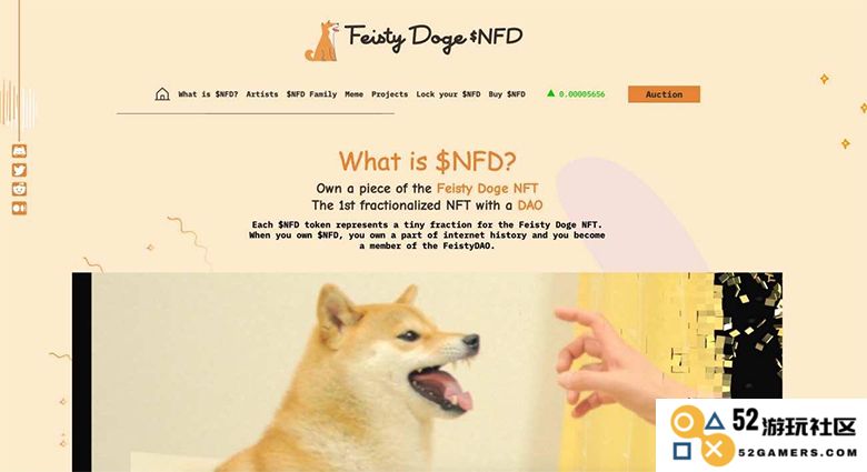 NFD币的合约地址具体信息是什么？关于NFD币合约地址的详细介绍