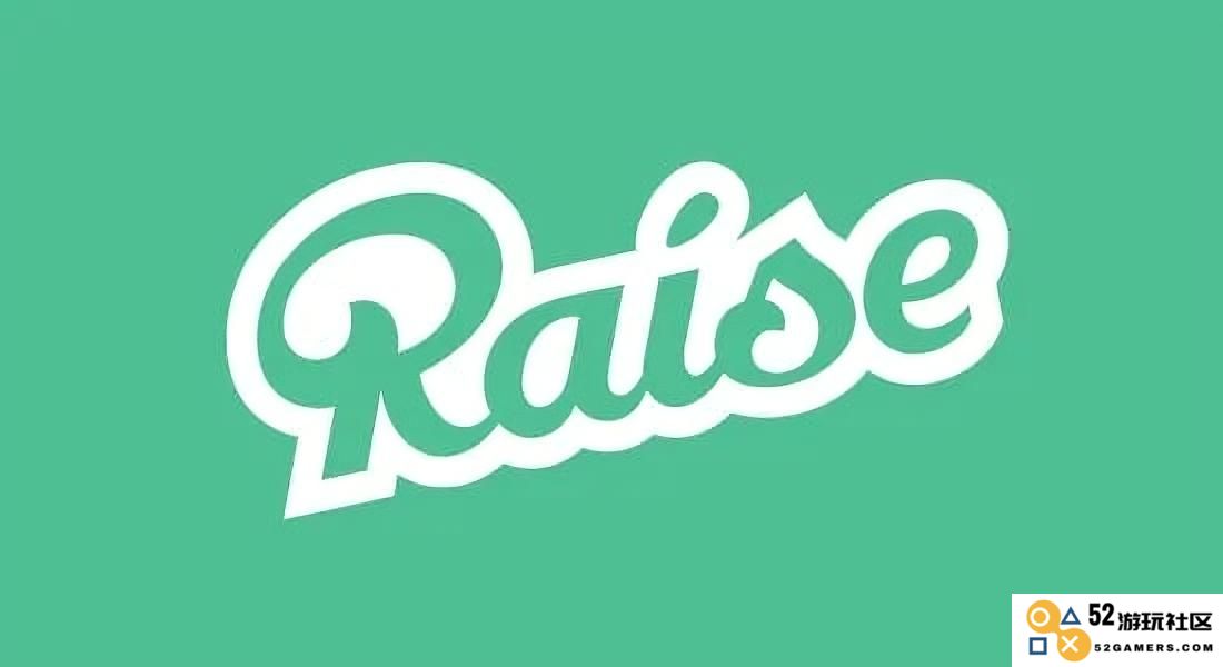Raise项目全解析：融资方式、发展历程与成功模式透视