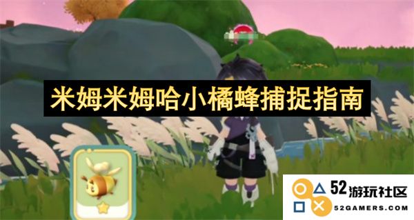 详尽解读米姆米姆哈小橘蜂捕捉的技巧与方法指南