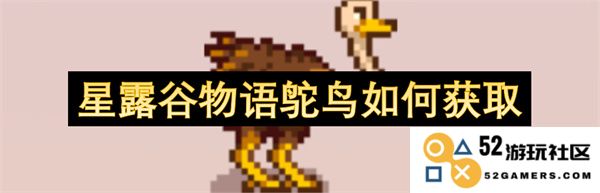 在星露谷物语中如何有效获取鸵鸟及相关玩法技巧