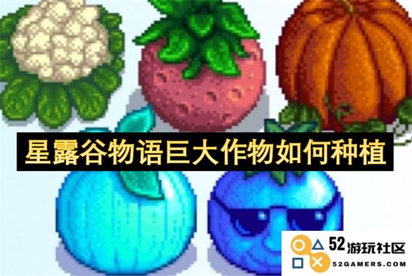 星露谷物语中怎样成功种植巨大作物的详细技巧与注意事项
