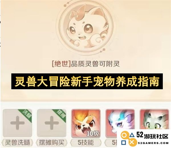 灵兽大冒险新手宠物成长攻略与养成技巧解析