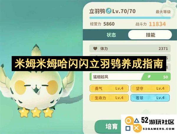 米姆米姆哈闪闪立羽鸮的全面养成攻略与实用技巧分享
