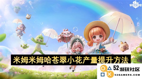 提高米姆米姆哈苍翠小花产量的有效策略与实施方案