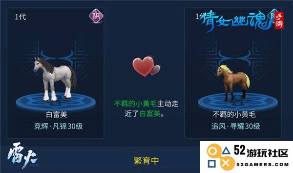 倩女幽魂高品质马教程